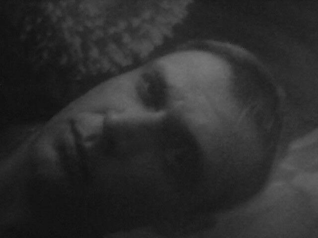 ���� 10075528 ������� �����, 42 ����, ���� ���������� � �����