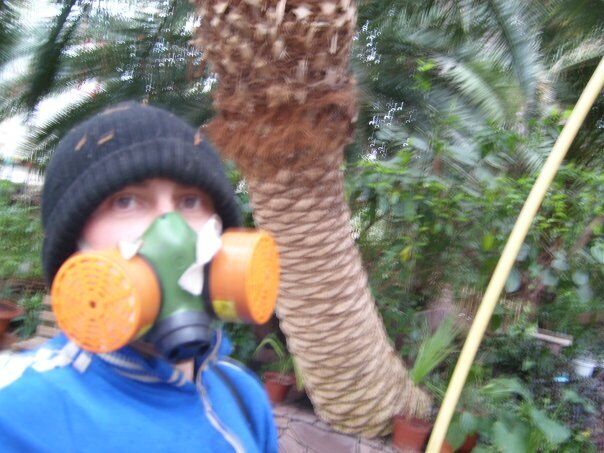 ���������� ����, ���� ������� �����, 49 ���, ������������ ��� ������, ����� � ���������