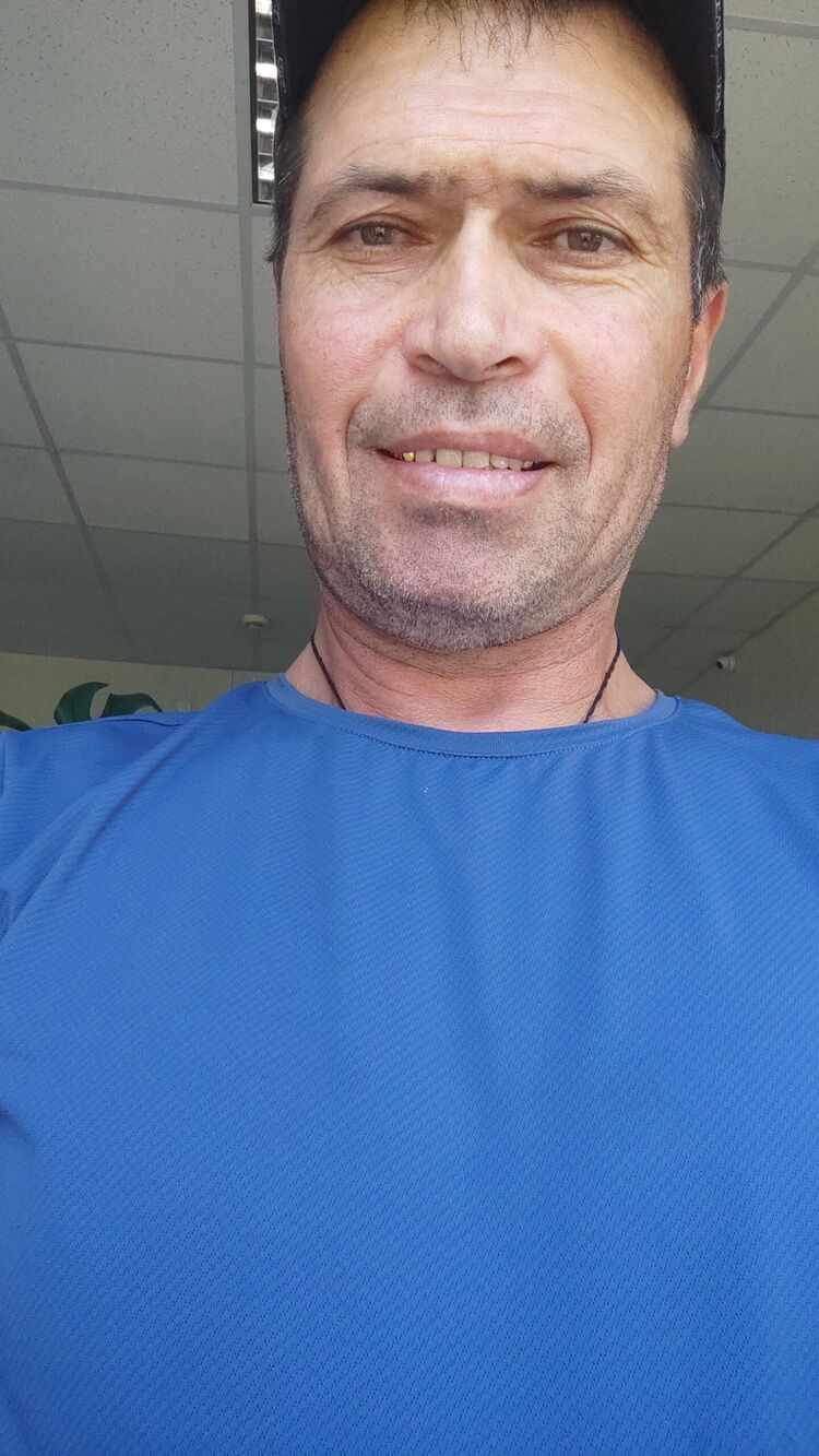  35988768  , 44 ,     