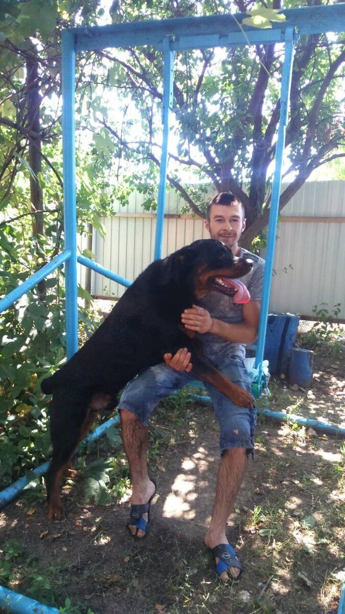  12834918  , 37 ,    --