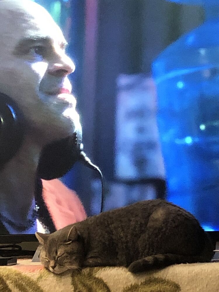 ���� 26498028 ������� �������, 38 ���, ���� ���������� � ������