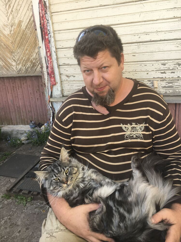  -,   , 50 ,   ,   