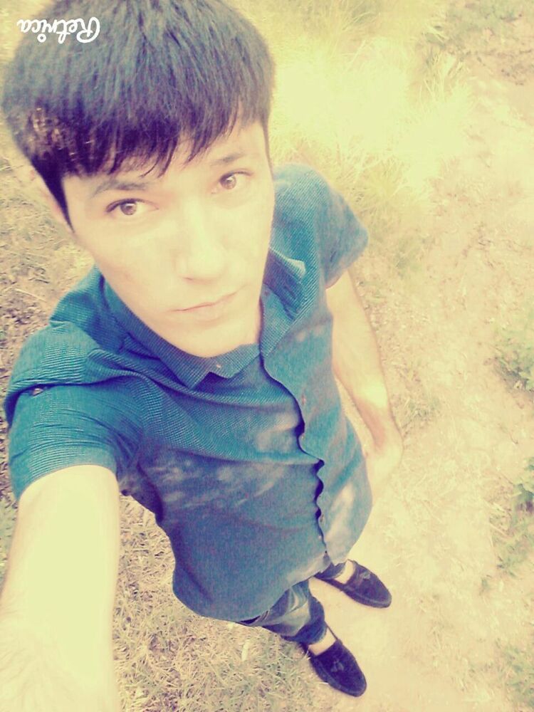  53508278  , 33 ,    