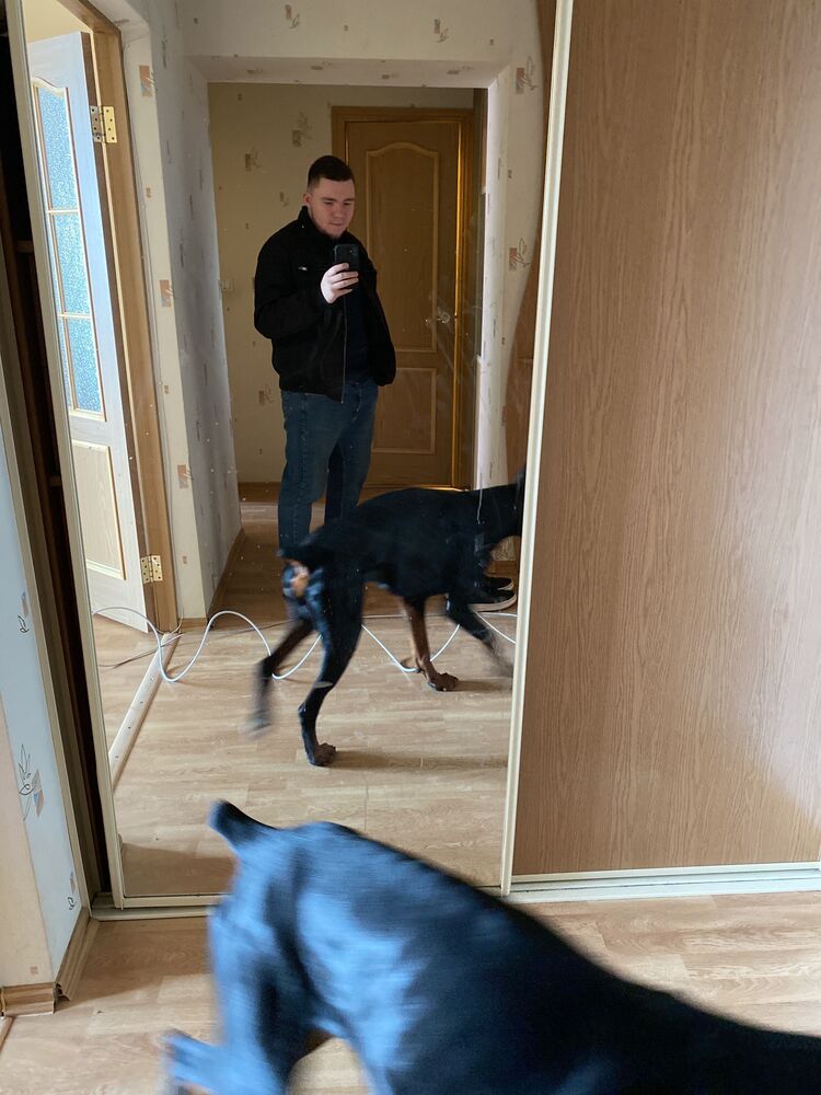 ���������� �����������, ���� ������� �����, 29 ���, ������������ ��� ������, ����� � ���������