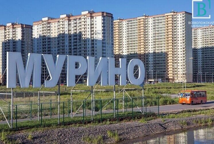 ���������� �����-���������, ���� ������� Zuxriddinxon, 37 ���, ������������ ��� c�������� ���������