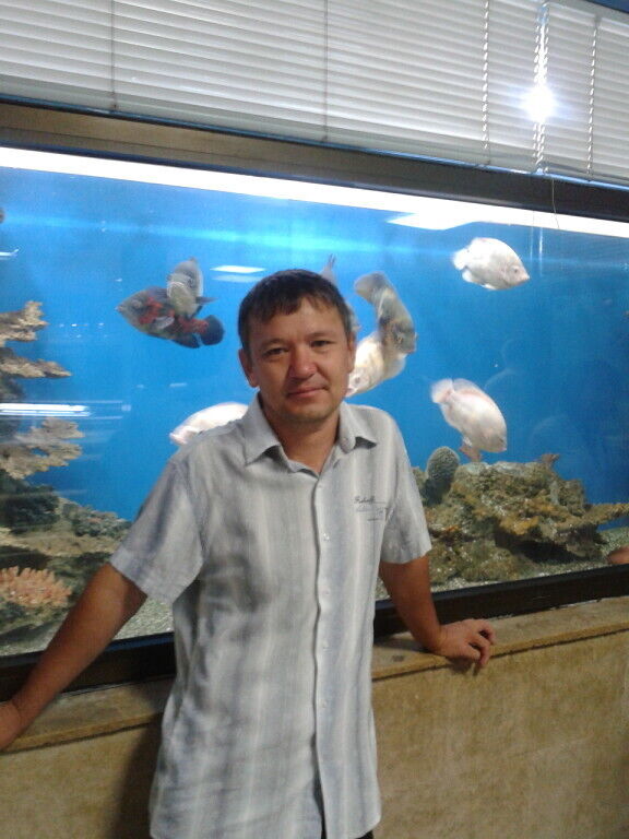  ,   , 53 ,   ,   
