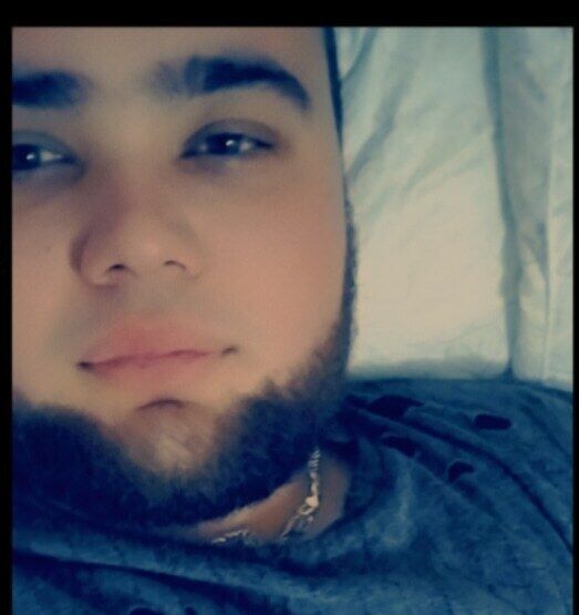  45653648  , 31 ,    