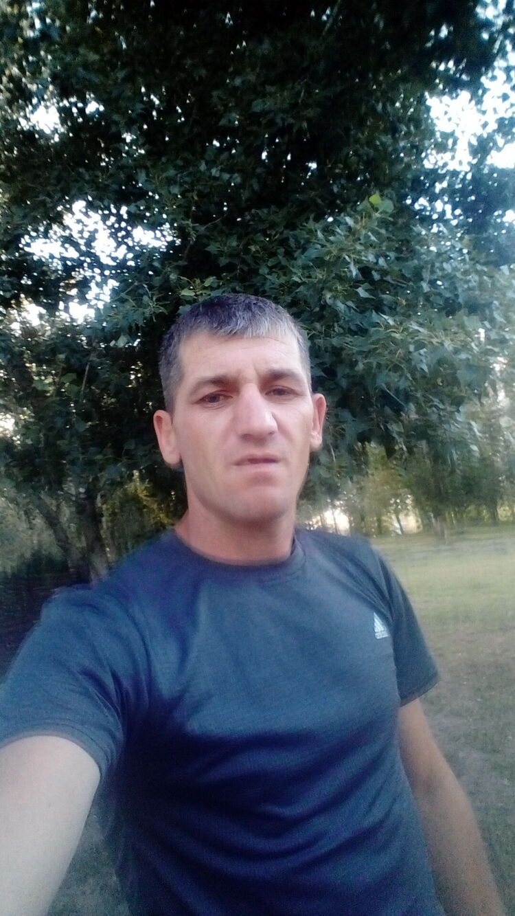  45064248  , 33 ,    