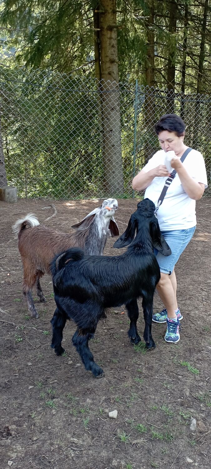 ���� 49536688 ������� �����, 47 ���, ���� ���������� � ���������������