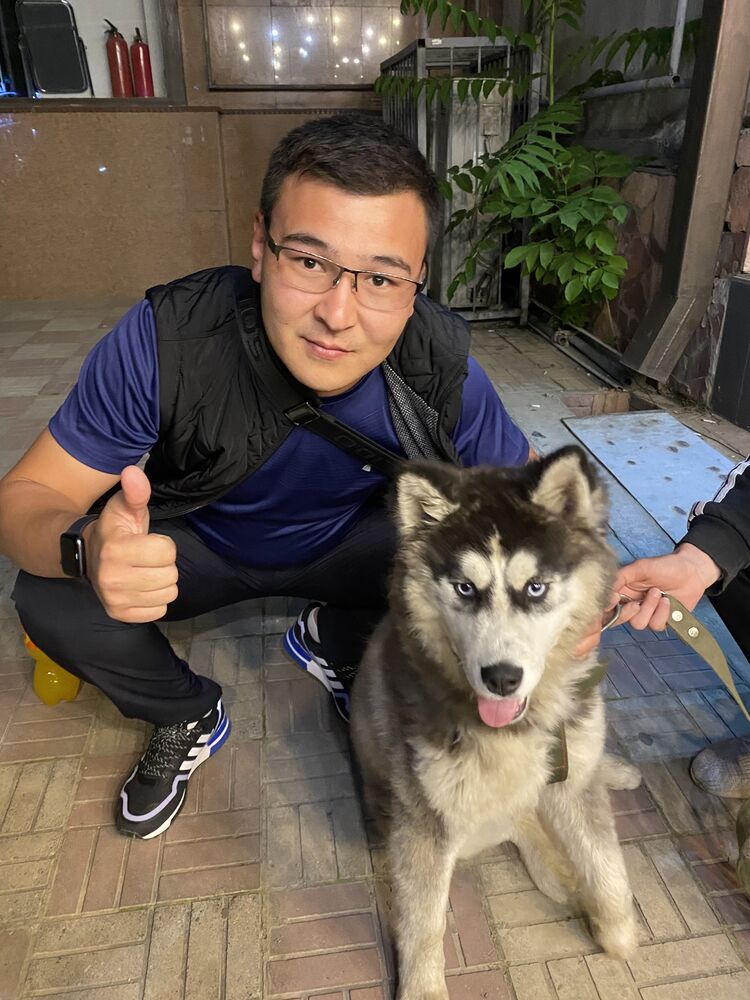 ���� 27763148 ������� ������, 34 ����, ���� ���������� � ������