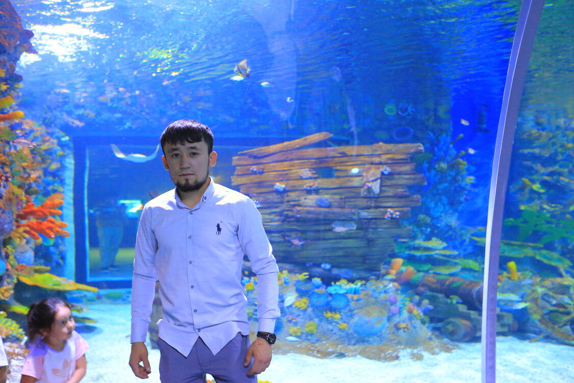  33567838  Aziz, 26 ,    