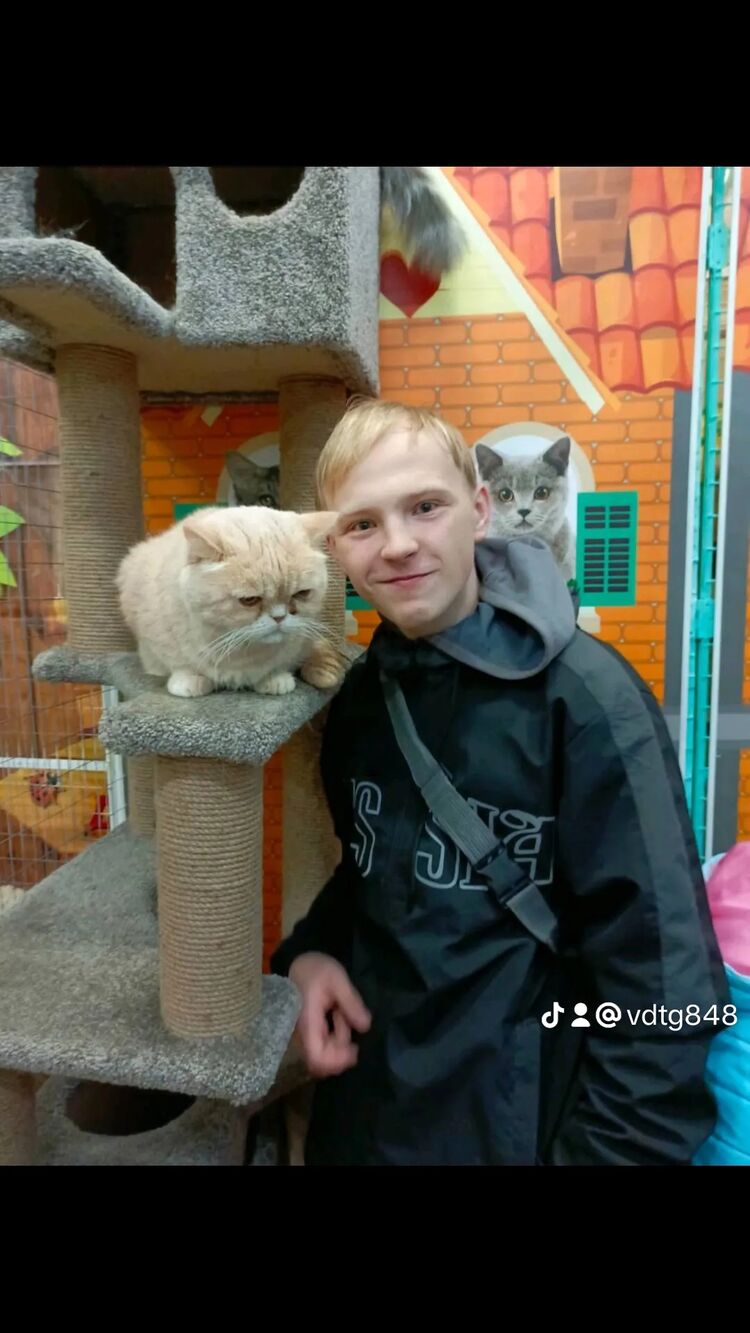 ���������� ����, ���� ����� �������, 19 ���, ������������ ��� c�������� ���������