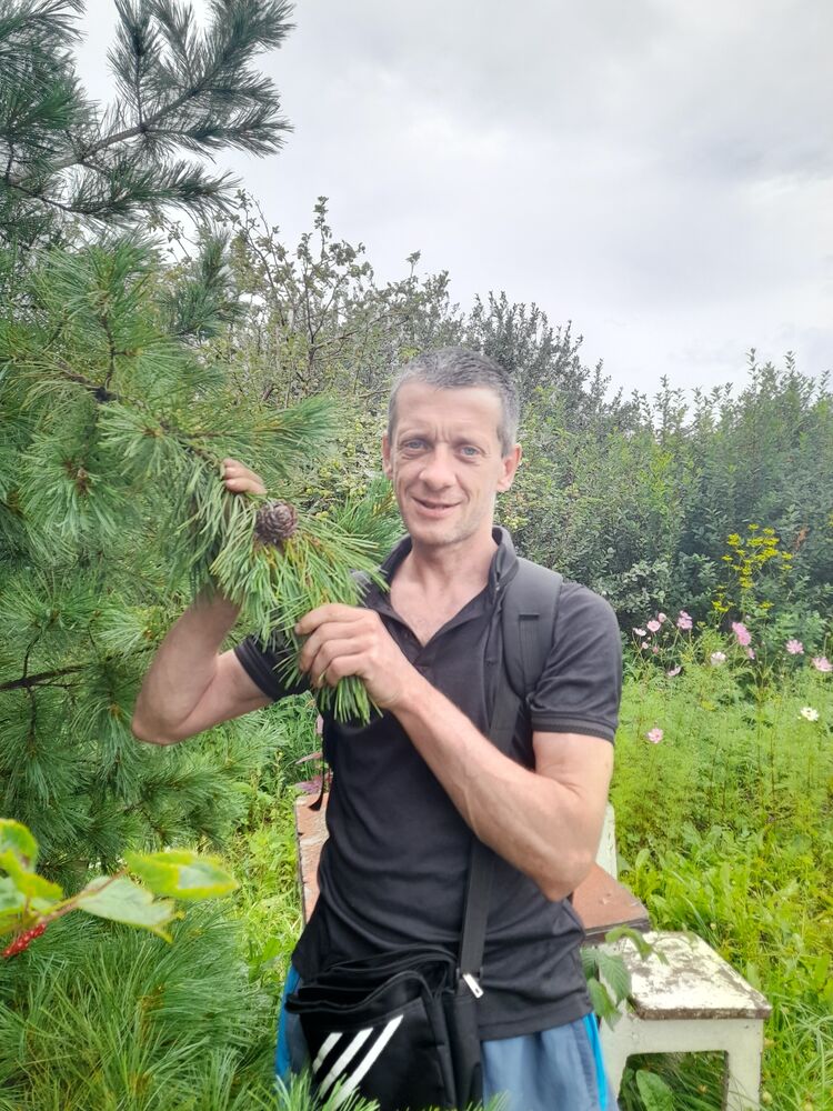 ���� 29210628 ������� �������, 50 ���, ���� ���������� � �����������