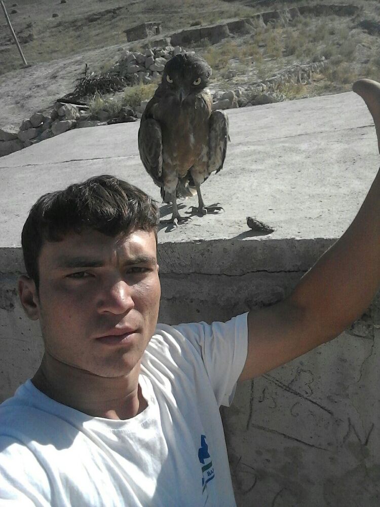 ���������� ������, ���� ������� SHOX, 26 ���, ������������ ��� ������, ����� � ���������, c�������� ���������