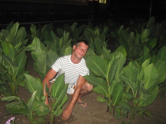 ���� 10338138 ������� B�������, 42 ����, ���� ���������� � ��������