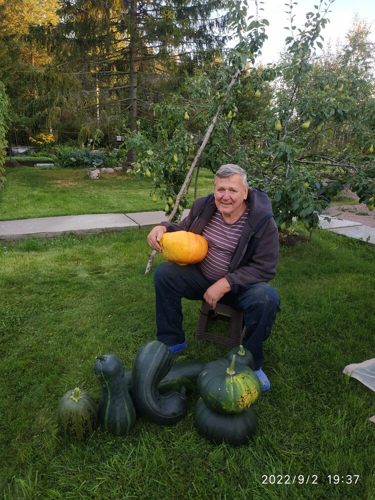 ���� 32792758 ������� ���������, 64 ����, ���� ���������� � �����-����������