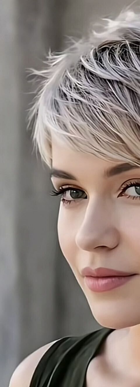 ���� 49757968 ������� ����, 50 ���, ���� ���������� � �����������