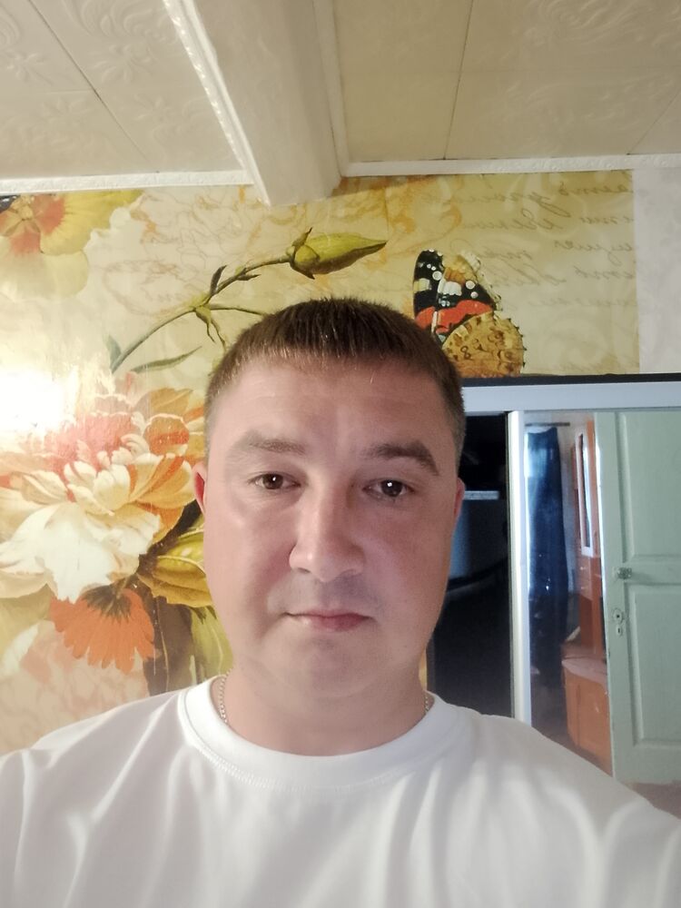  53669228  , 36 ,    