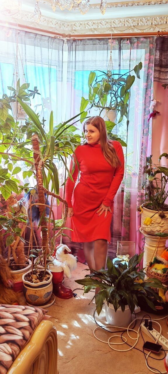  34356548  , 46 ,    -