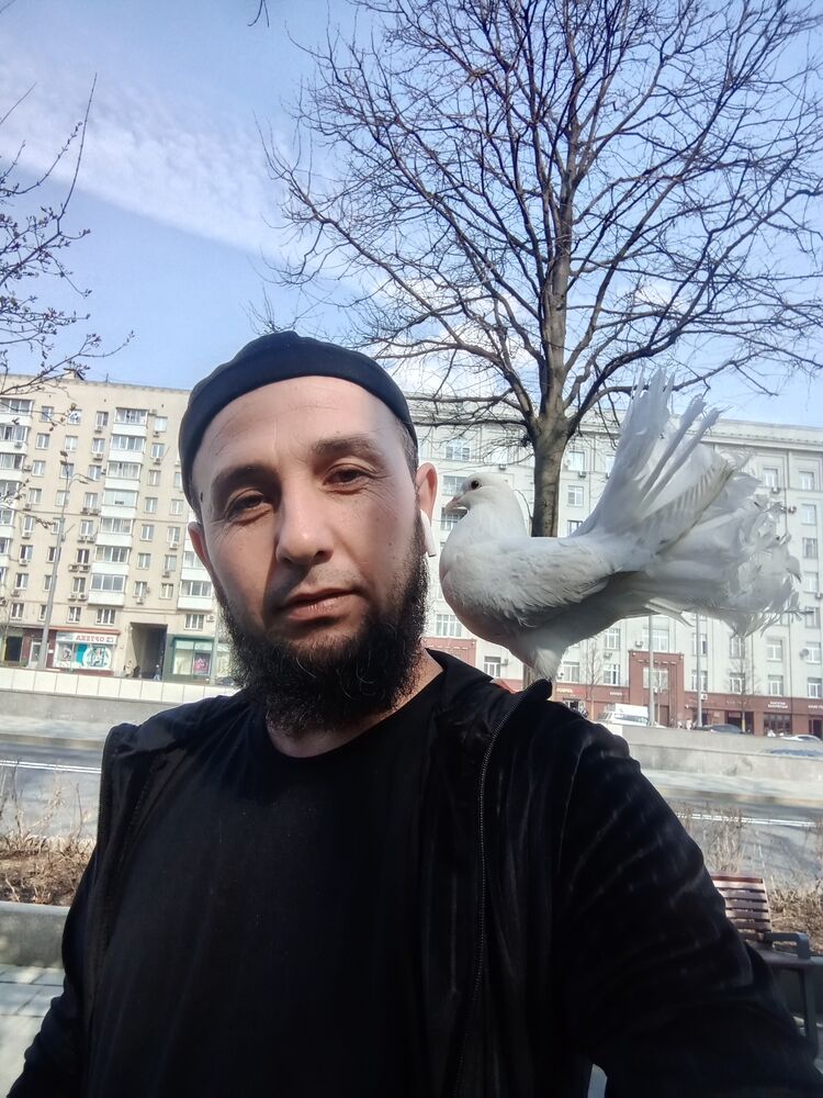 ���� 34392418 ������� ABROR, 40 ���, ���� ���������� � ������