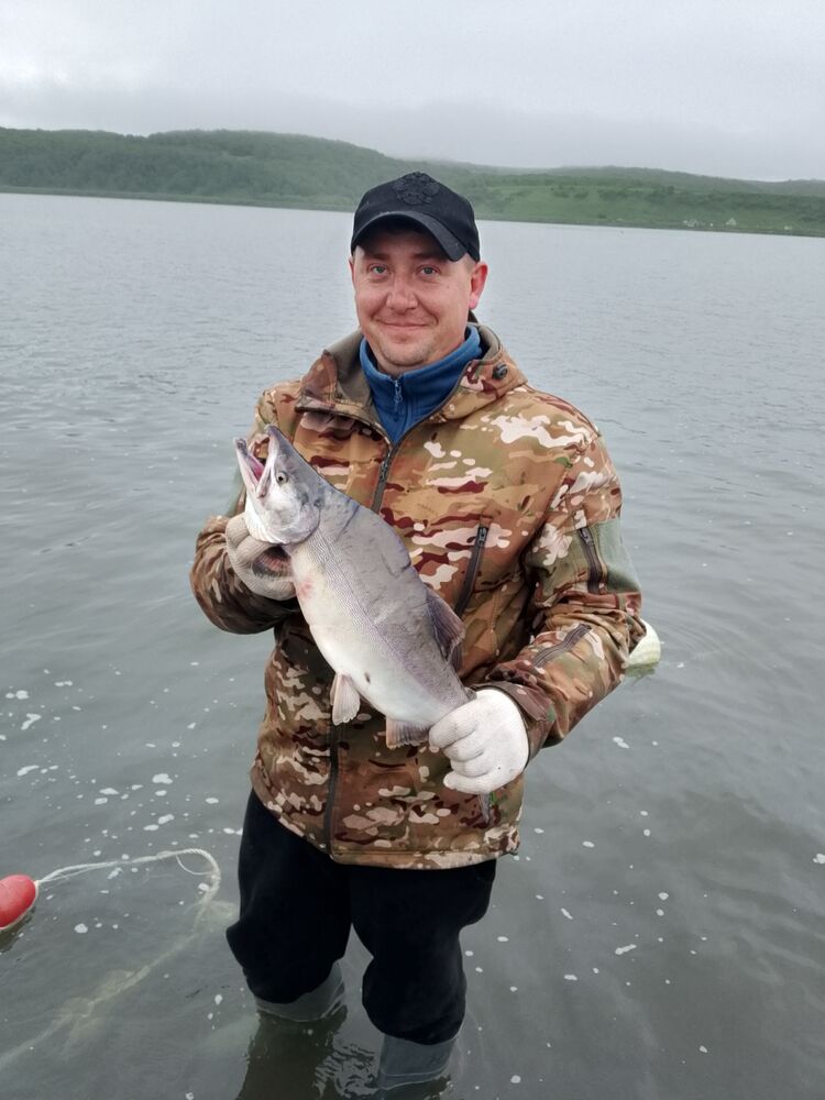 ���� 55413738 ������� �������, 46 ���, ���� ���������� � ��������������-����������