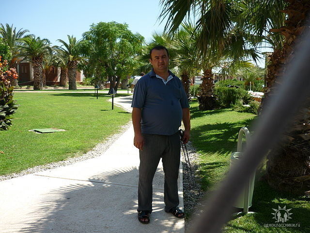  ,   , 56 ,   