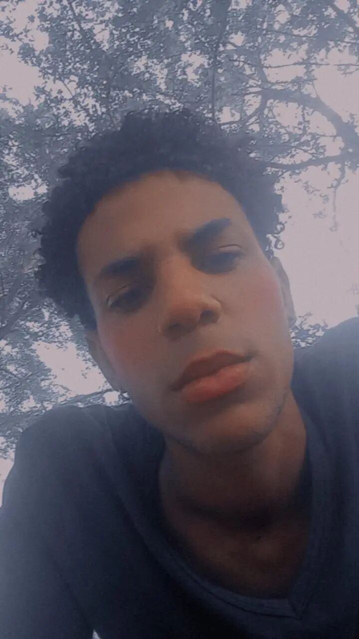  ,   Yander, 24 ,   ,   , c 