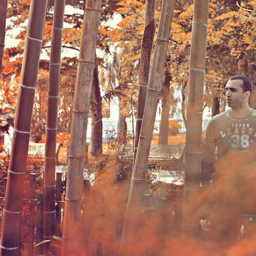 ���� 20704758 ������� Jabson, 36 ���, ���� ���������� � ������