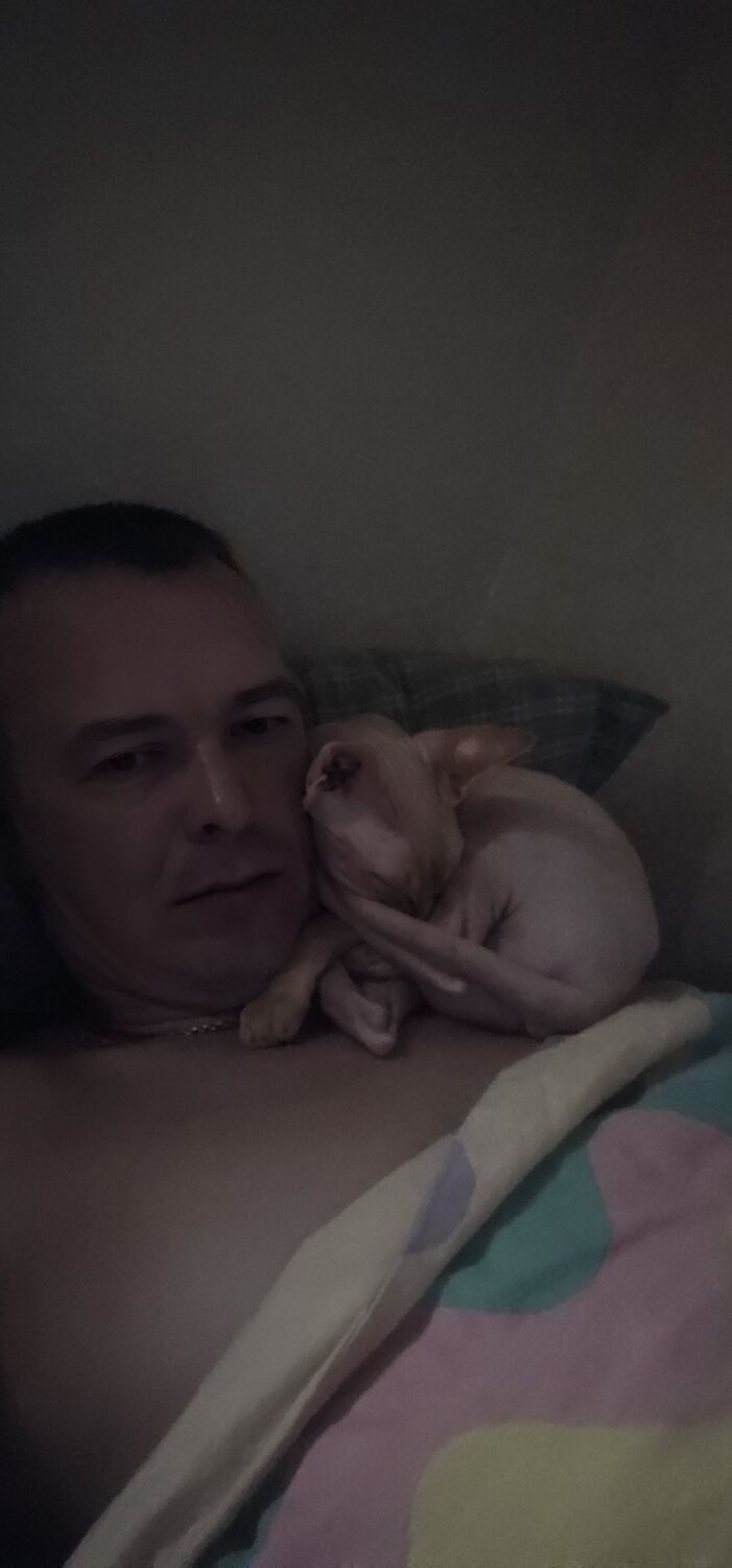 ���� 54695128 ������� ����, 40 ���, ���� ���������� � �������