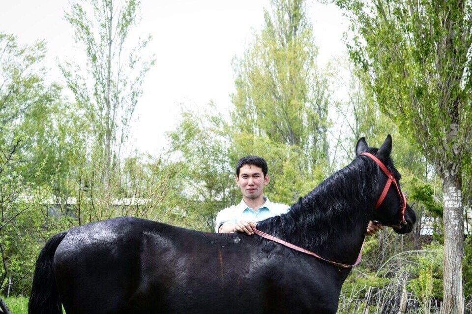 ���� 9965678 ������� ������, 29 ���, ���� ���������� � ������