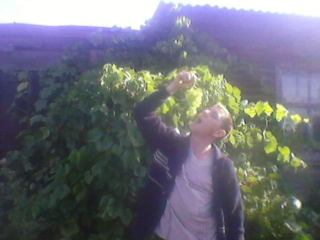 ���������� �����, ���� ������� ��������, 38 ���, ������������ ��� ������, ����� � ���������, c�������� ���������