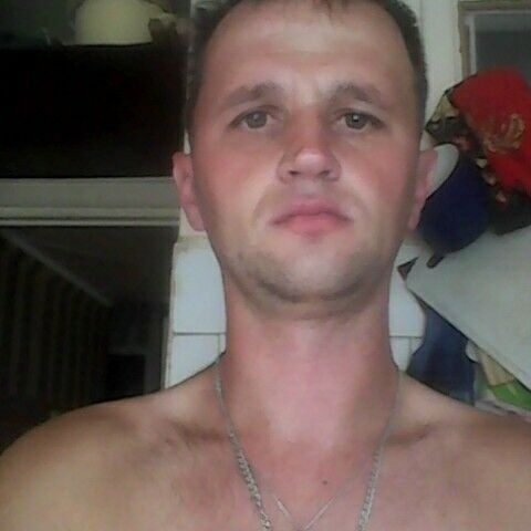 ���� 8210248 ������� ������, 44 ����, ���� ���������� � �����������