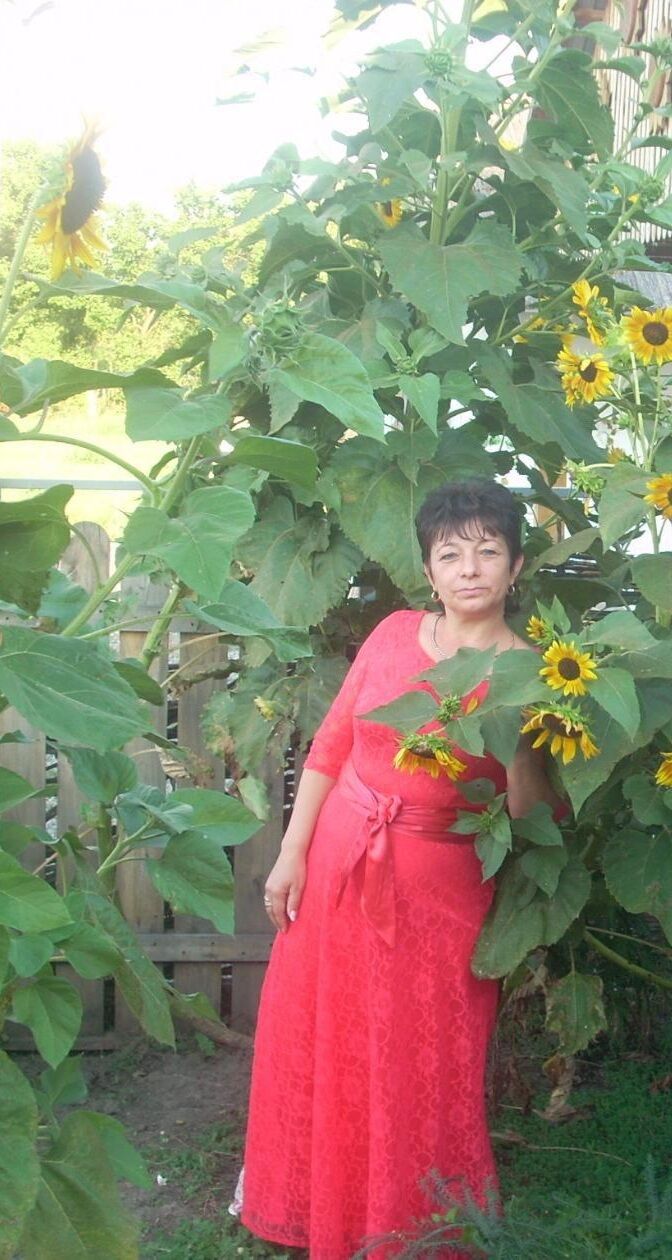  ,   , 56 ,   ,   , 