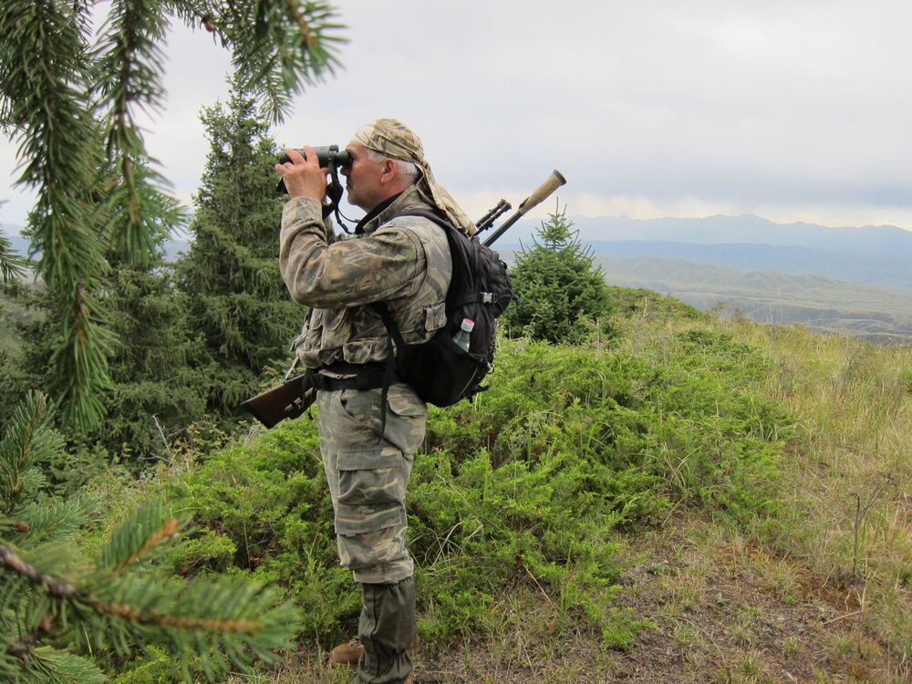 ���������� ������, ���� ������� �������, 61 ���, ������������ ��� ����� � ���������, c�������� ���������