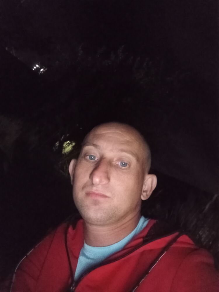  53134778  , 33 ,    
