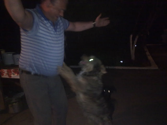 ���������� ������-��-����, ���� ������� �������, 54 ����, ������������ ��� ������, ����� � ���������, c�������� ���������