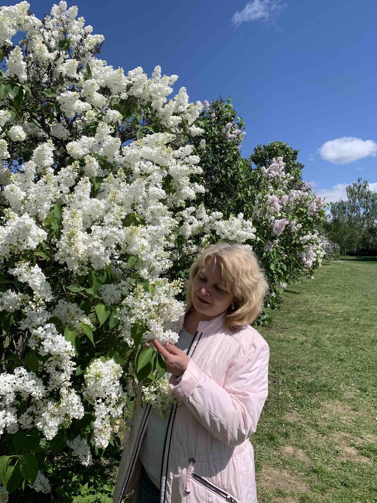 ���������� ����, ���� ������� �������, 56 ���, ������������ ��� ������, ����� � ���������, c�������� ���������, ���������