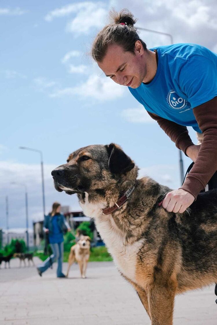 ���� 35480948 ����� ������, 21 ���, ���� ���������� � ������