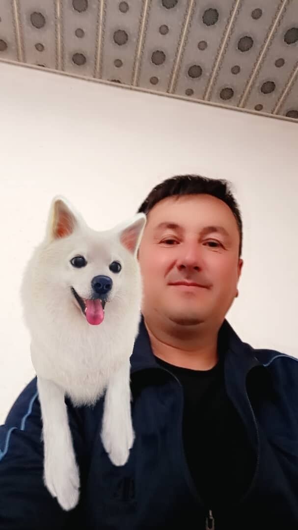 ���������� ������, ���� ������� ���� ������, 45 ���, ������������ ��� ������, ����� � ���������