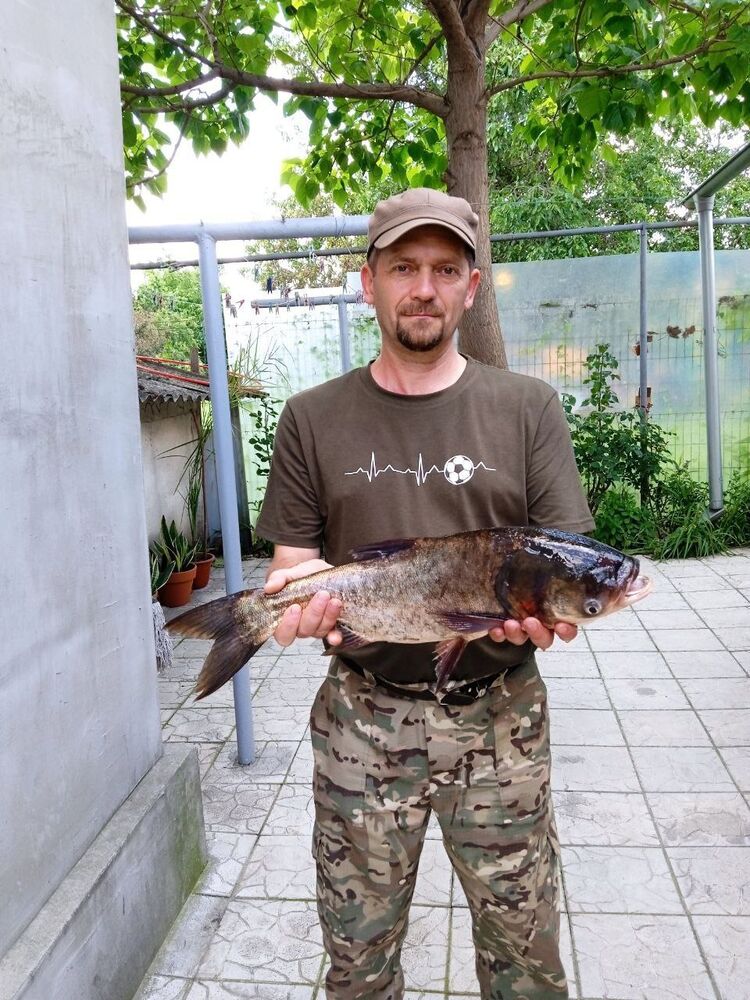  ,   Sergiu, 45 ,   ,   