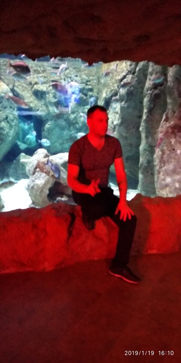 ���� 18113548 ������� ����, 44 ����, ���� ���������� � ������ ����