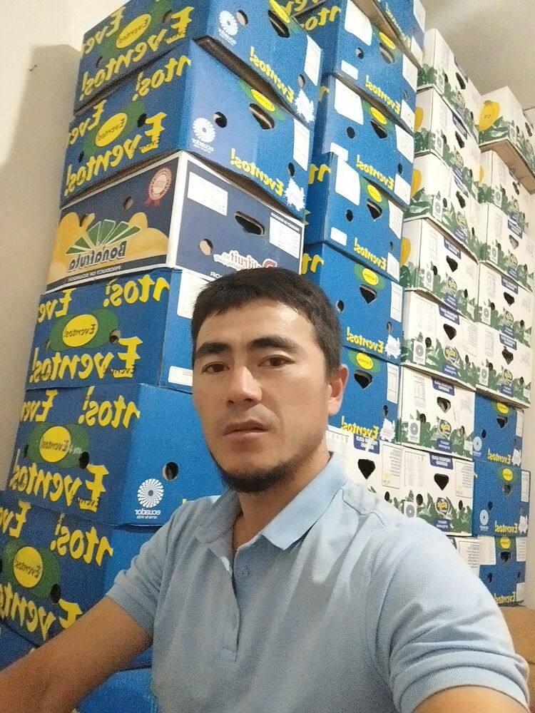  28280258  , 31 ,    