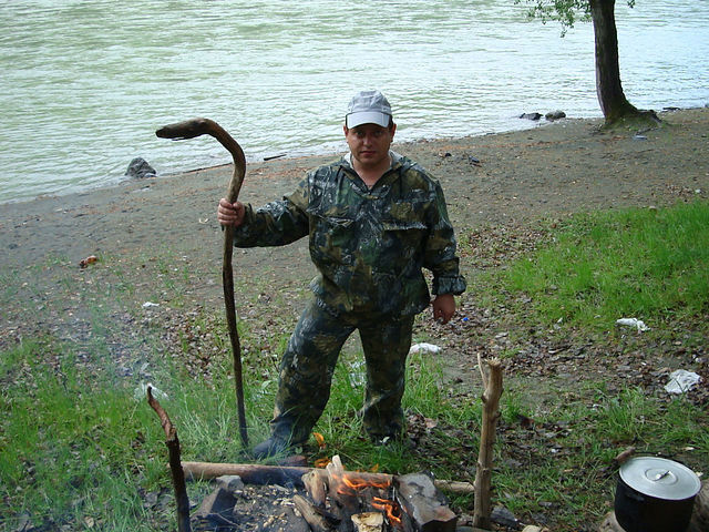 ���� 8473758 ������� ����, 43 ����, ���� ���������� � ��������