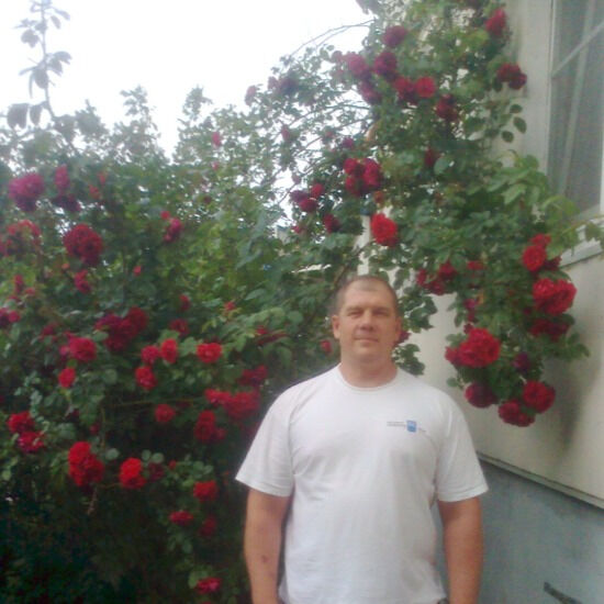 ���� 24509338 ������� ������, 52 ����, ���� ���������� � ���������