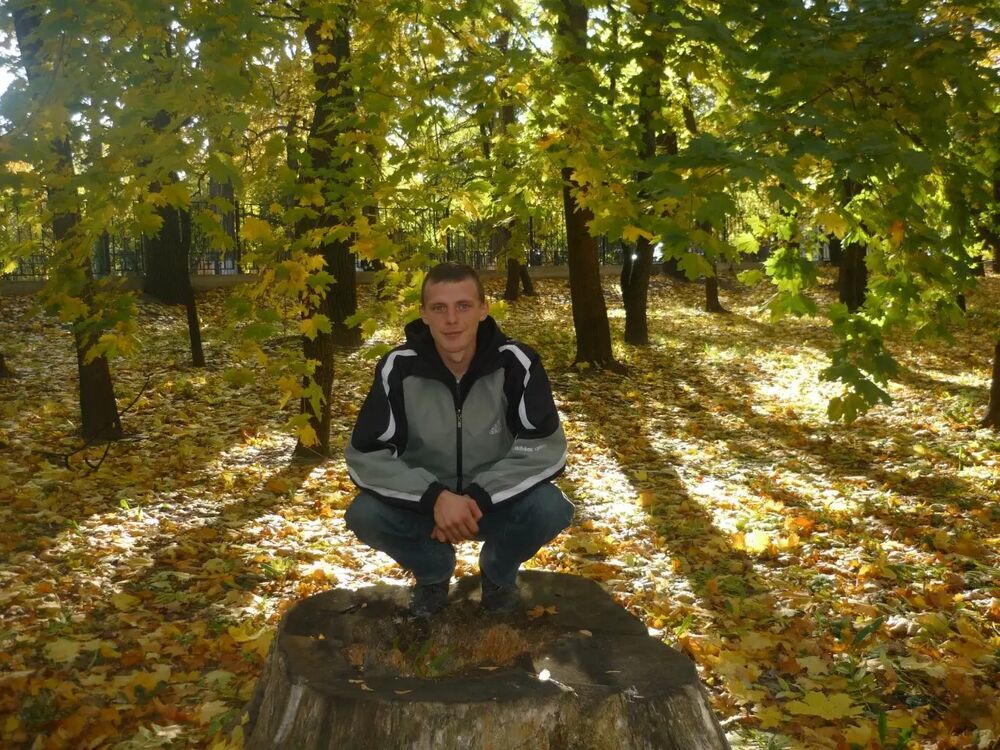 ���� 39538358 ������� ������, 39 ���, ���� ���������� � �����