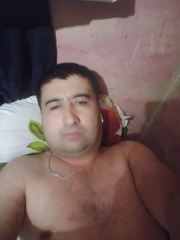  41380578  , 43 ,    