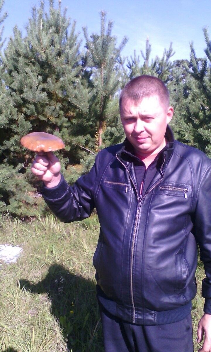 ���� 9905818 ������� �����, 44 ����, ���� ���������� � �������������