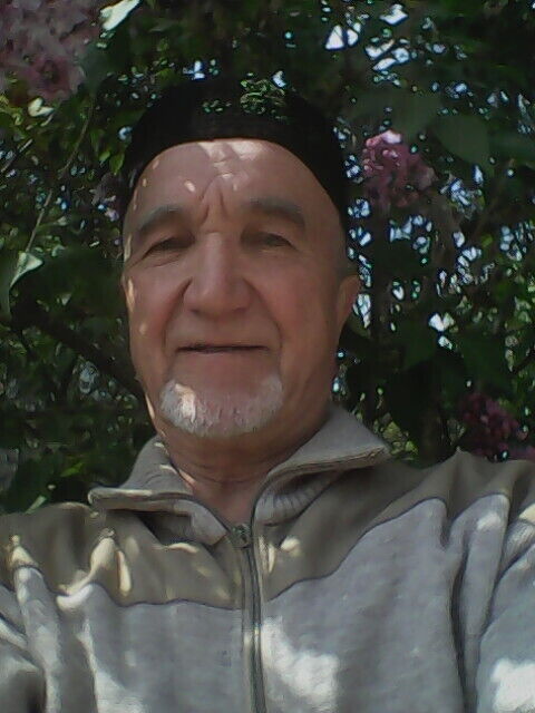  20456698  Gali, 66 ,    