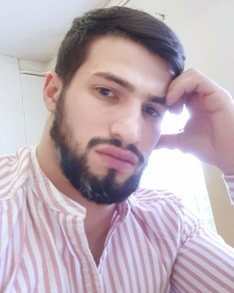  53481268  , 31 ,    