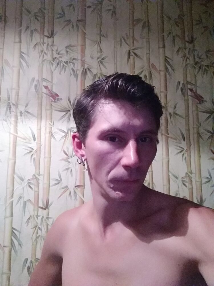  17495008  , 36 ,    